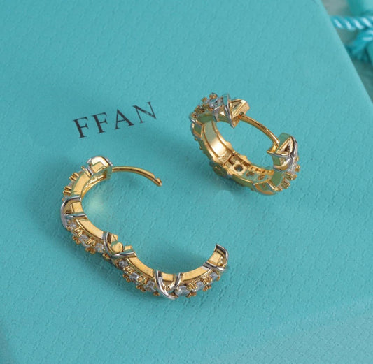 Classic Hoop Earrings