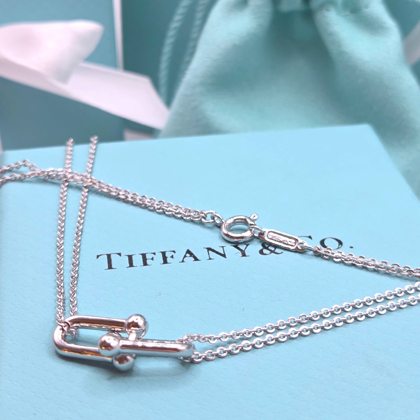 Double Chain Necklace