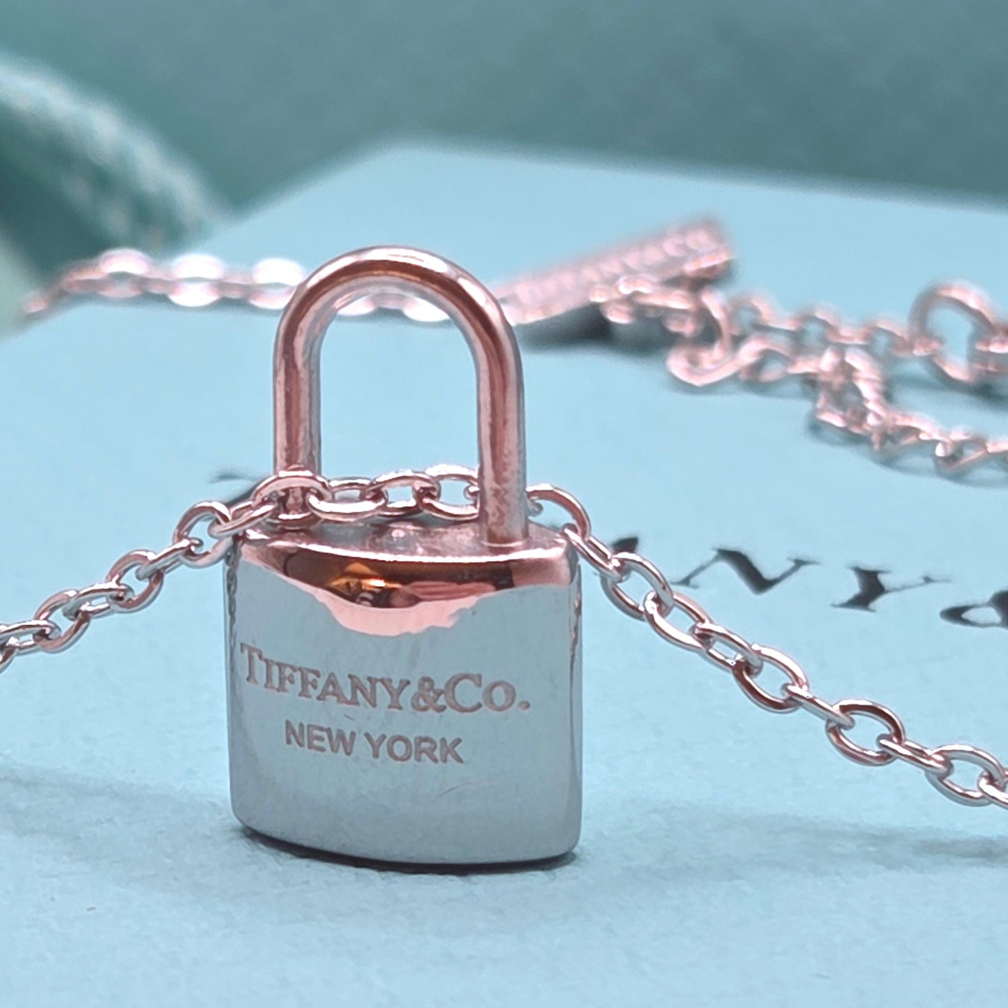Padlock Necklace
