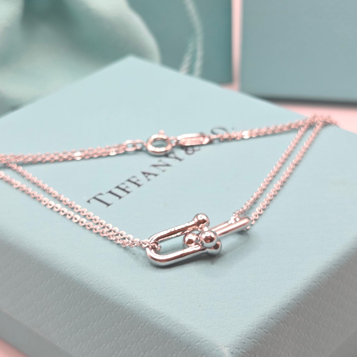 Double Chain Necklace