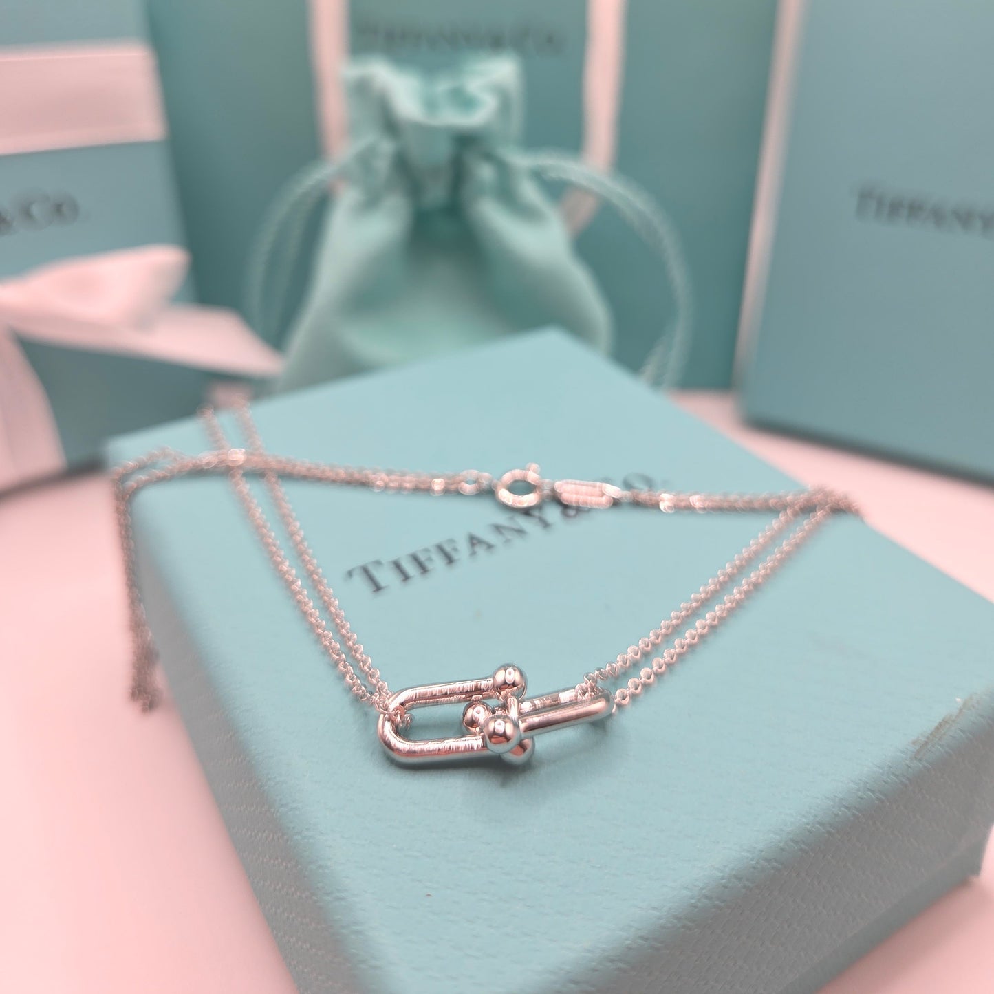 Double Chain Necklace